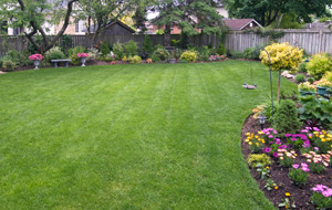 Residential Landscape Design, IL